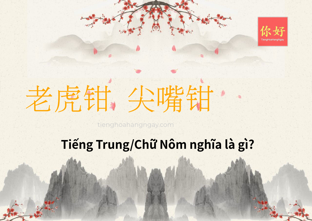 老虎钳 尖嘴钳 tiếng Trung là gì?